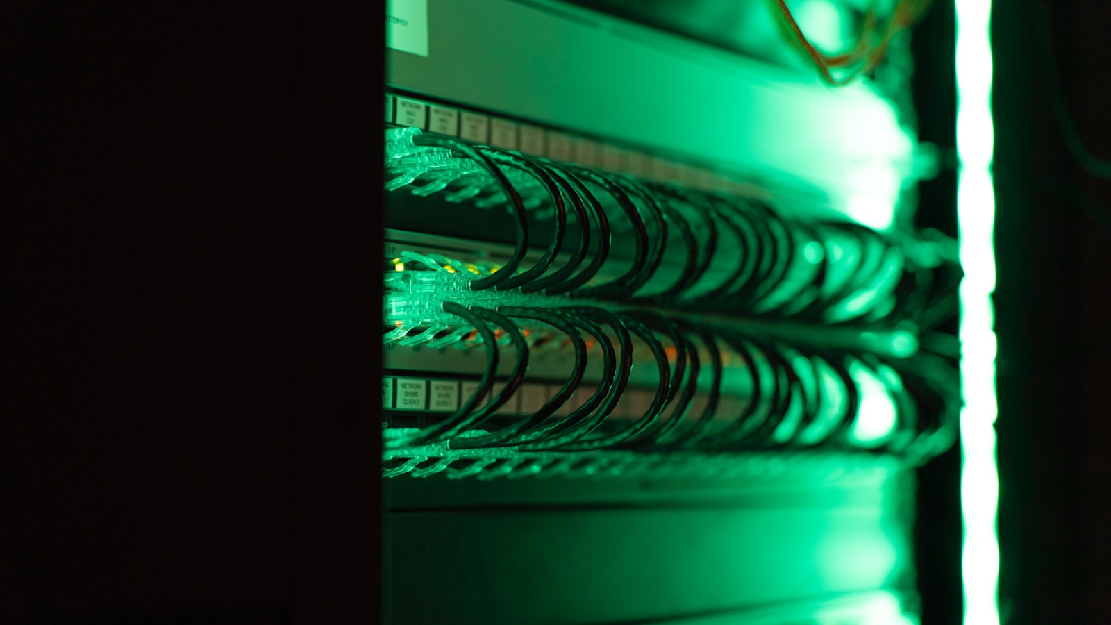 Rows of network cables connected inside a server rack