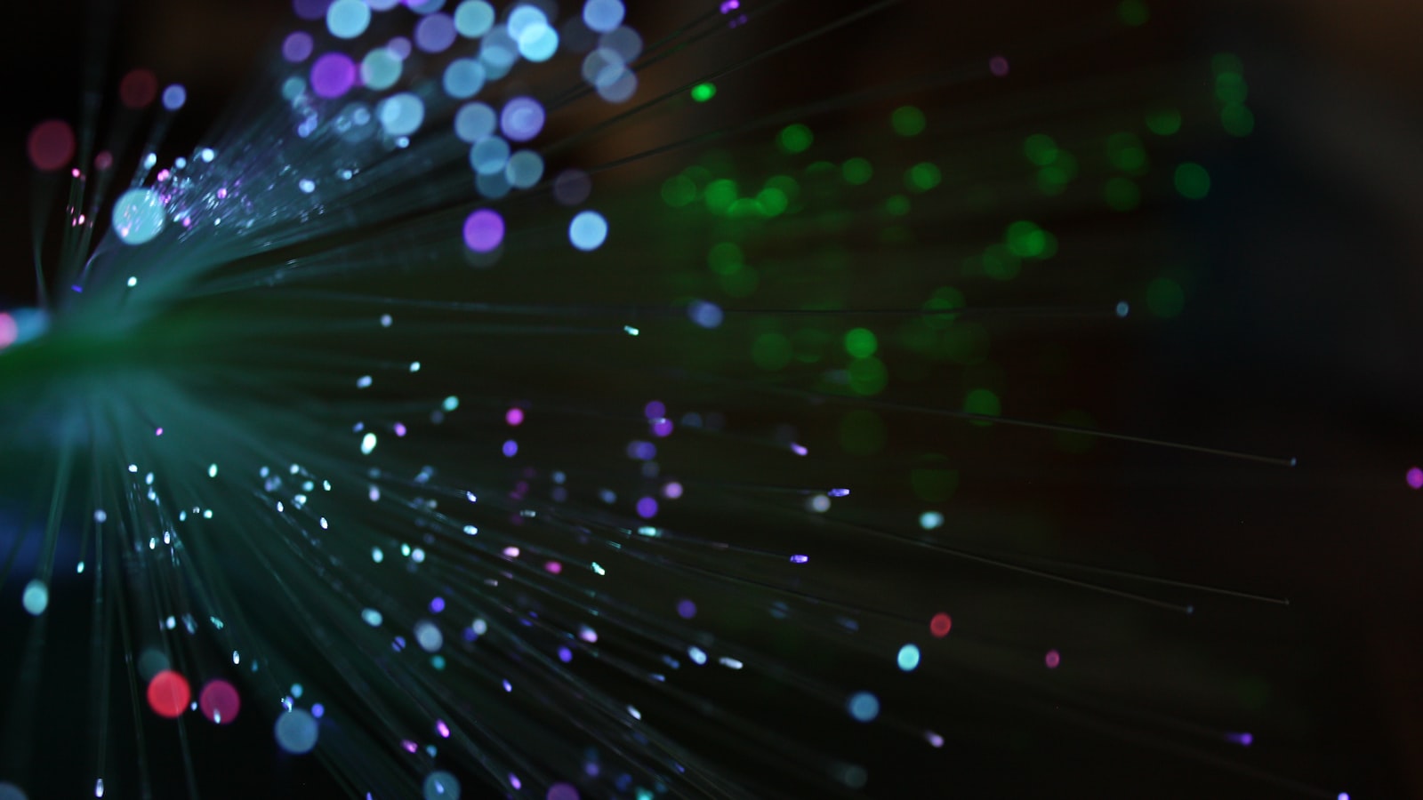 Multicolored lights glowing along fiber-optic strands